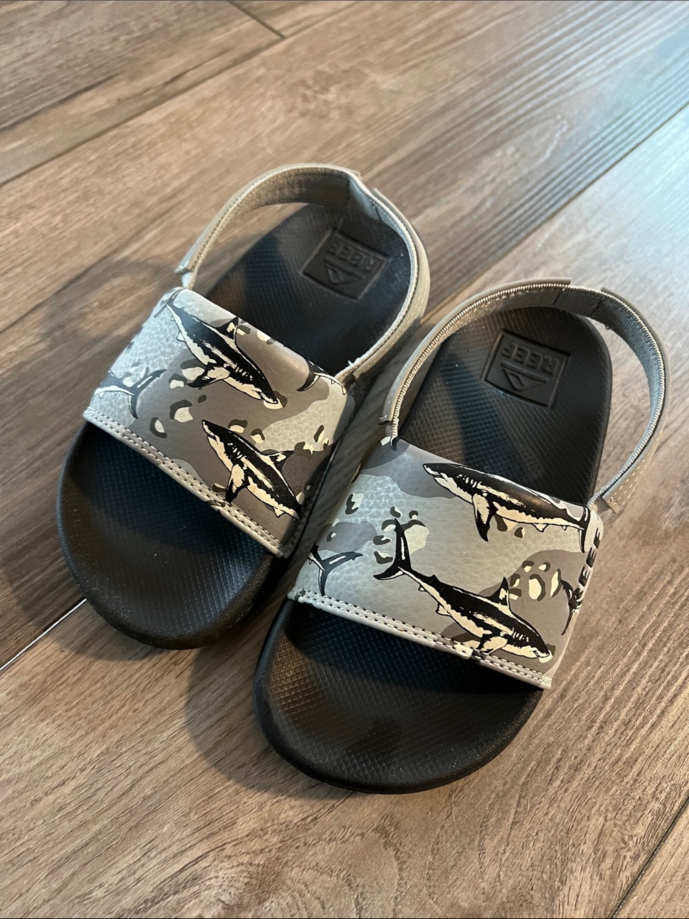 Kids Reef Shark Print Slide Sandals in Gray